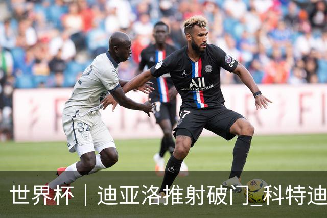 世界杯｜迪亚洛推射破门 科特迪瓦队绝杀厄瓜多尔队